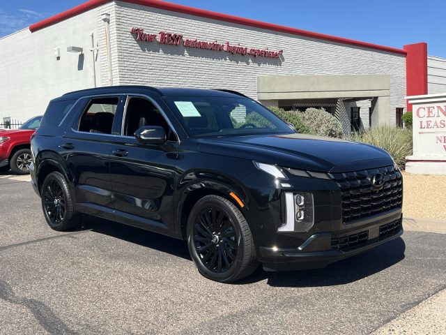 2024 Hyundai Palisade Calligraphy Night Edition - Photo 7