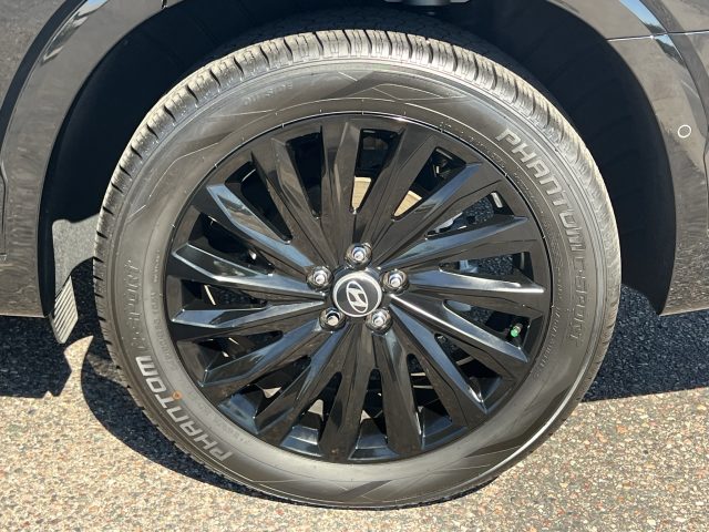 2024 Hyundai Palisade Calligraphy Night Edition - Photo 9